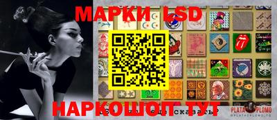 гашик Моздок