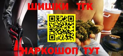 гашик Моздок