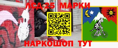 гашик Моздок